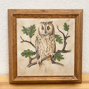Vintage Owl Decorative Ceramic Tile Framed Art Wall Decor